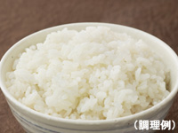 こんにゃく米 まずはお試し!2週間チャレンジ